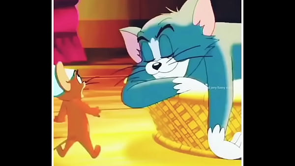 Tom Dan Jerry Lagi Mainin Kontol, Ngewe Di Dapur Sampe Kotor.
